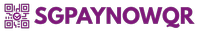 SGPayNowQR